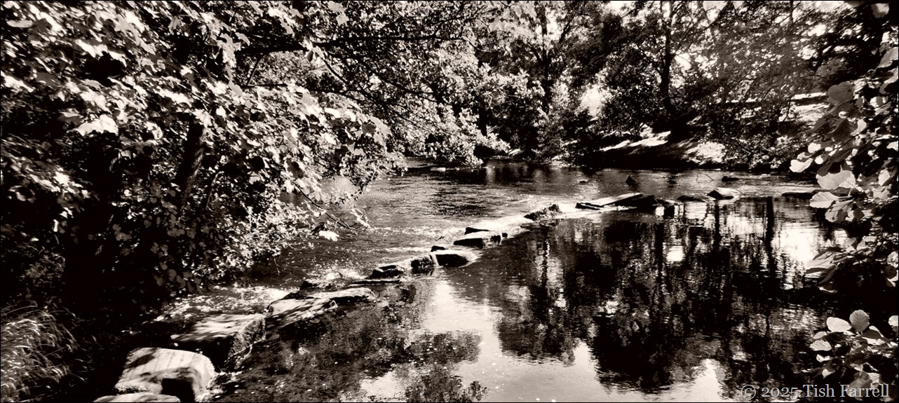 Stepping stones header