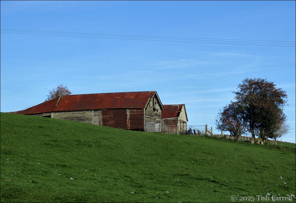 barns