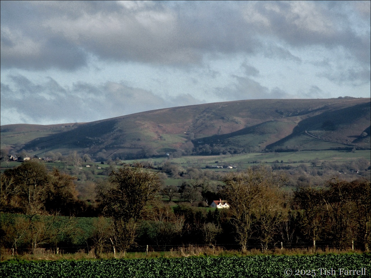 Christmas Day Long Mynd west