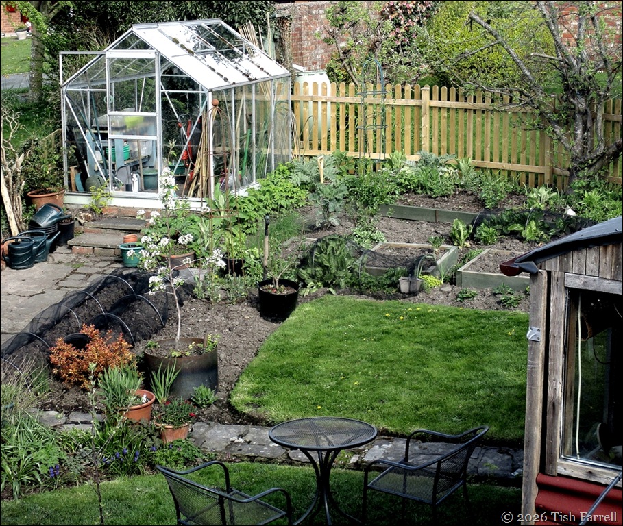 back garden April
