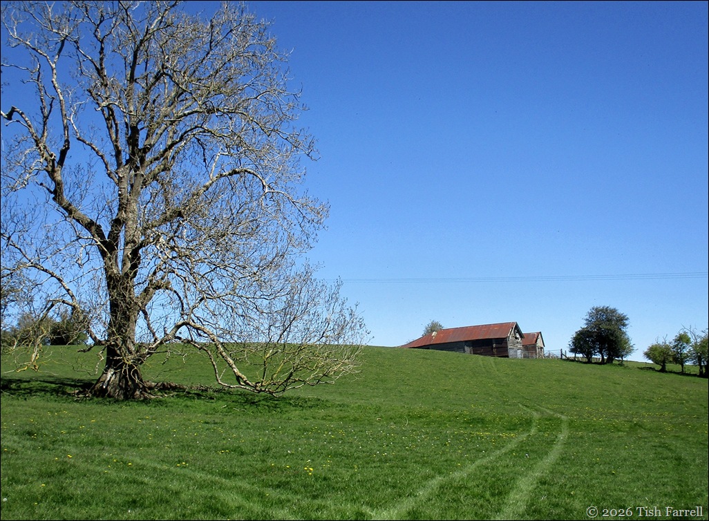 barns