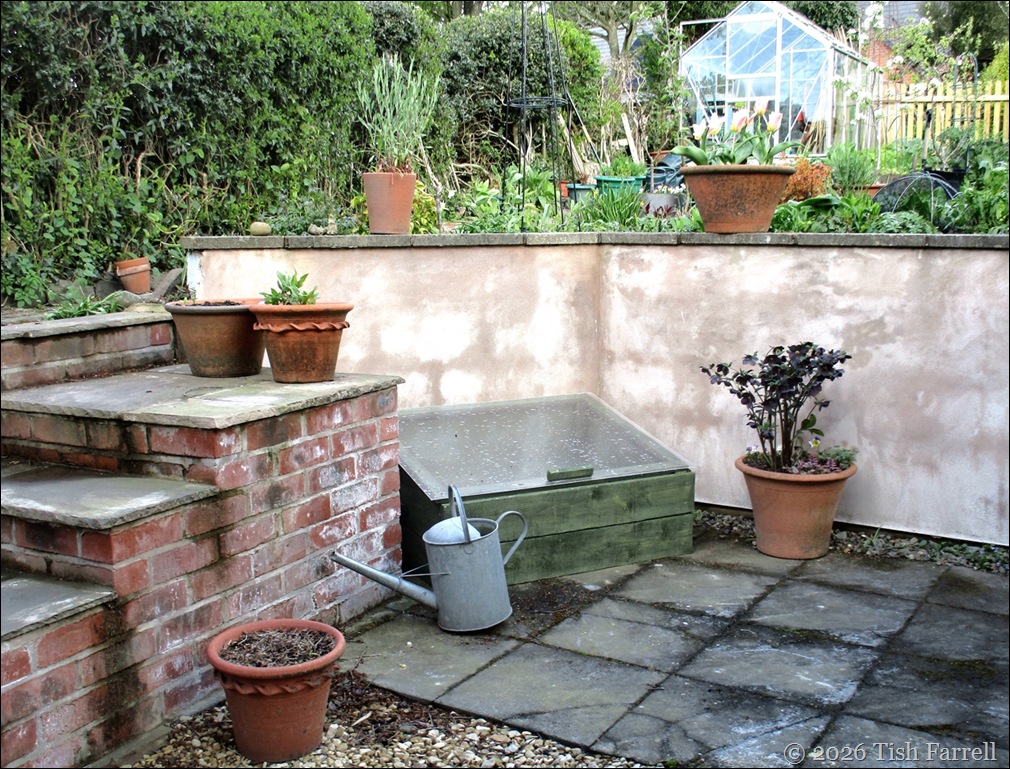 cold frame