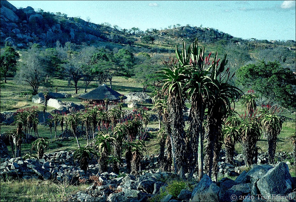Great Zimbabwe general view ed better