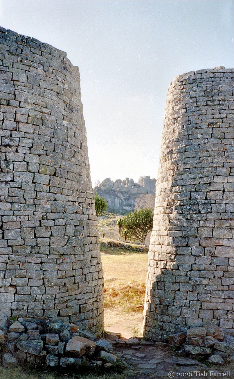 img20240925_17490832 cropped