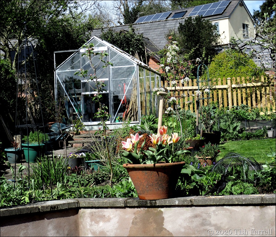 terrace bed