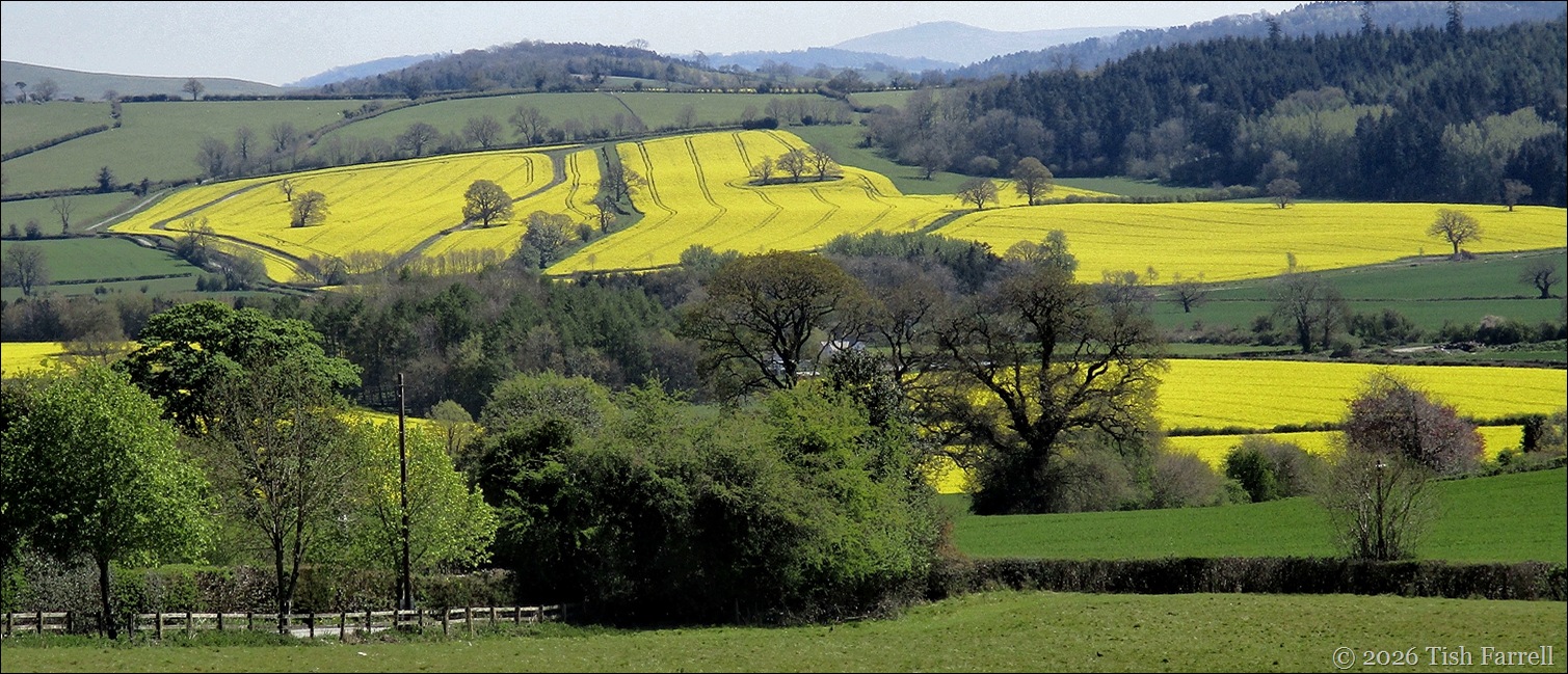 Wintles Hill View 2 Header