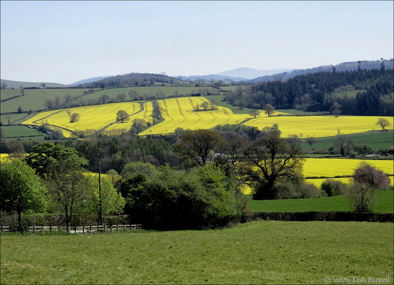 Wintles Hill View 2