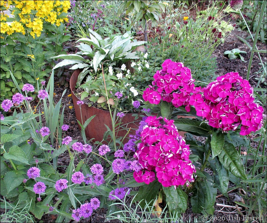 garden front 3