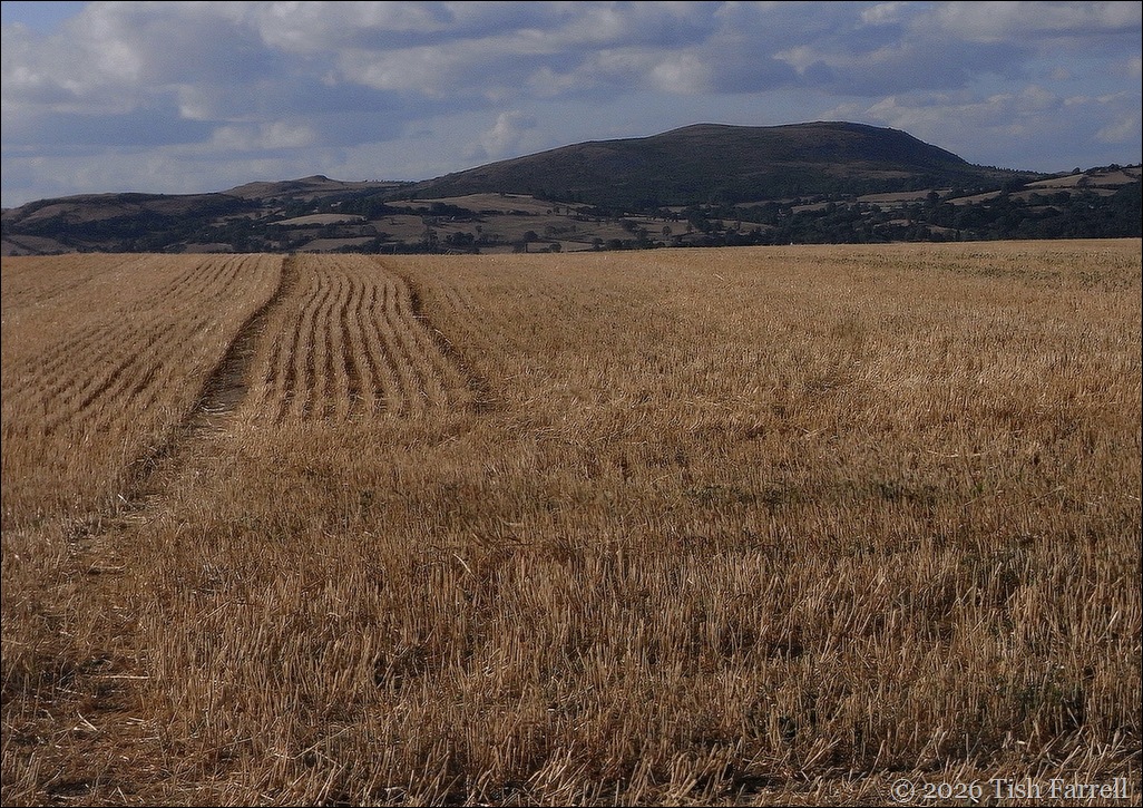 Corndon I think