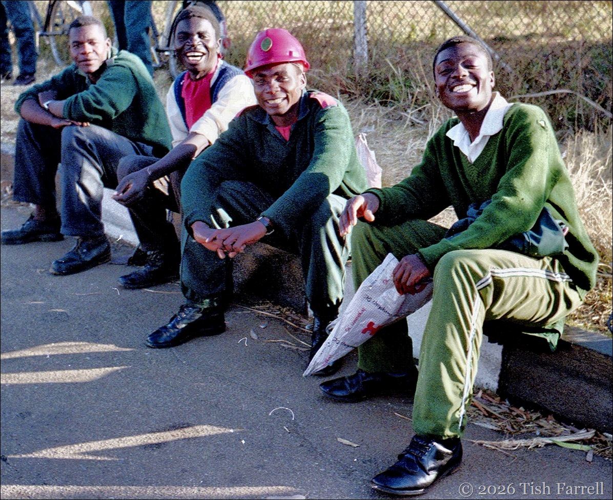 Harare night guards