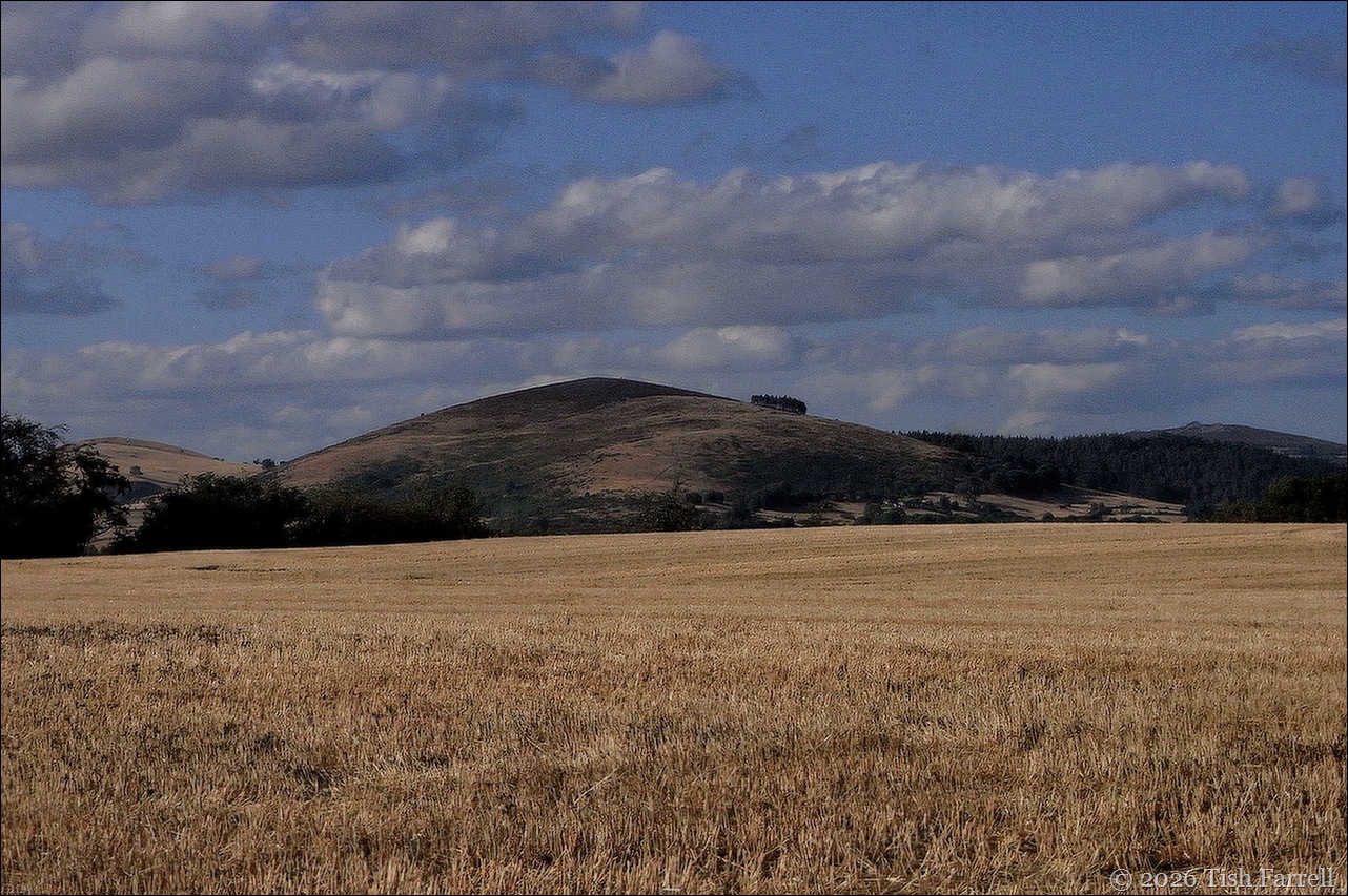 Heath Mynd and Stiperstones in distance