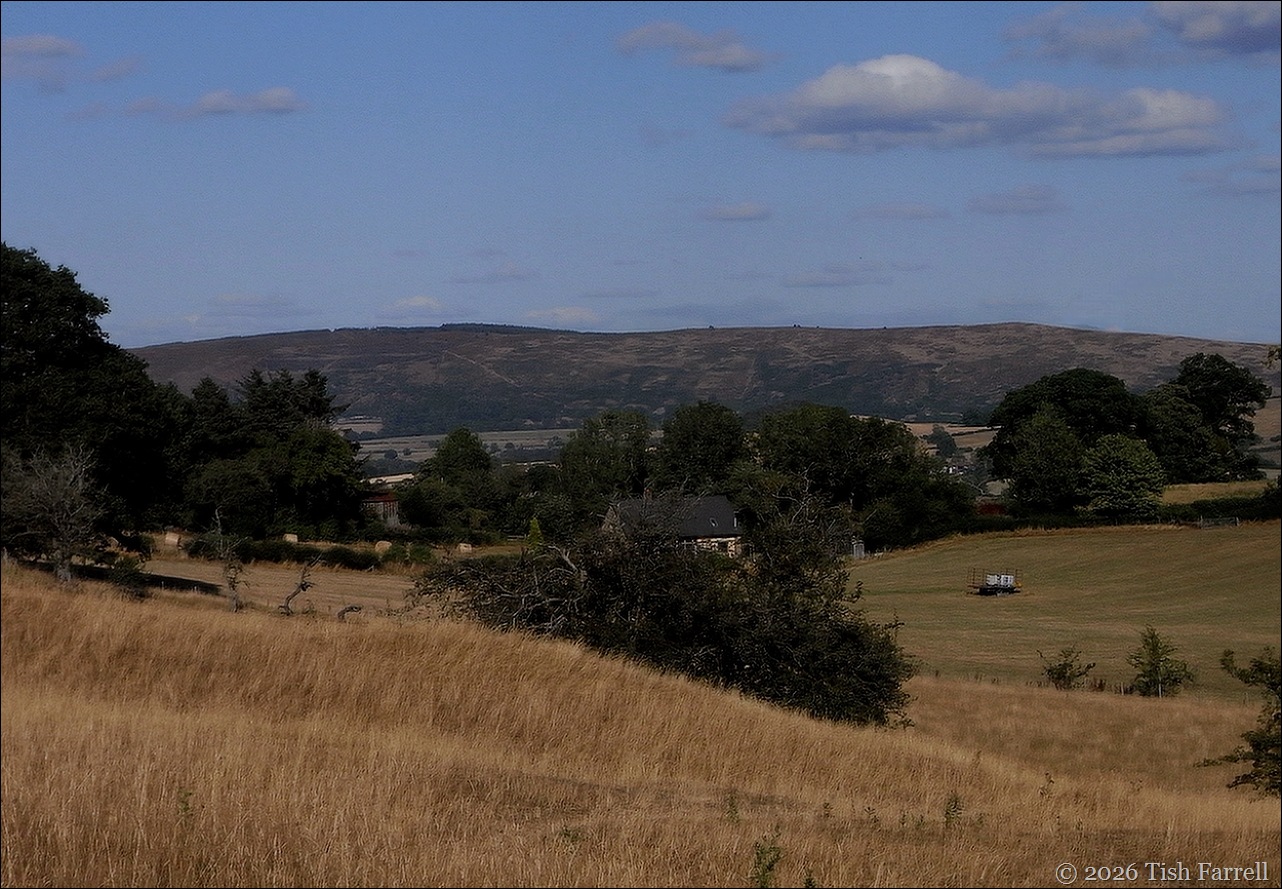 Longmynd