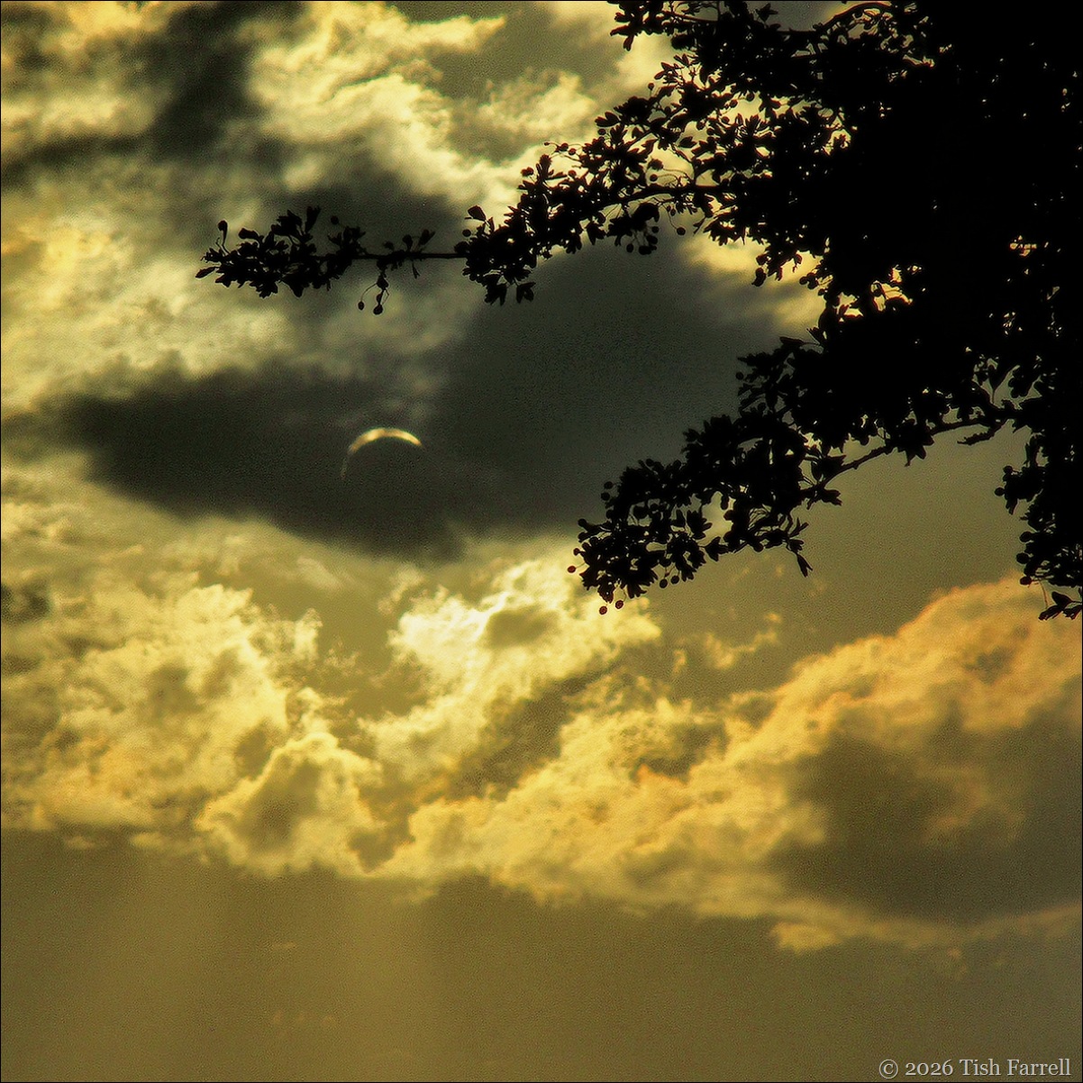 not an eclipse