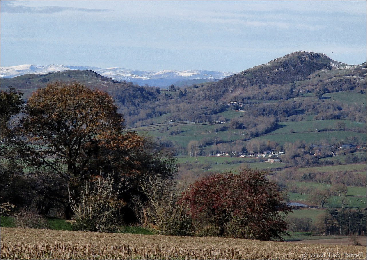winter view 2