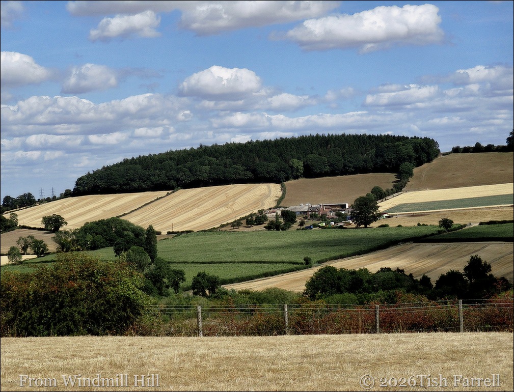Wenlock view from windmill hill