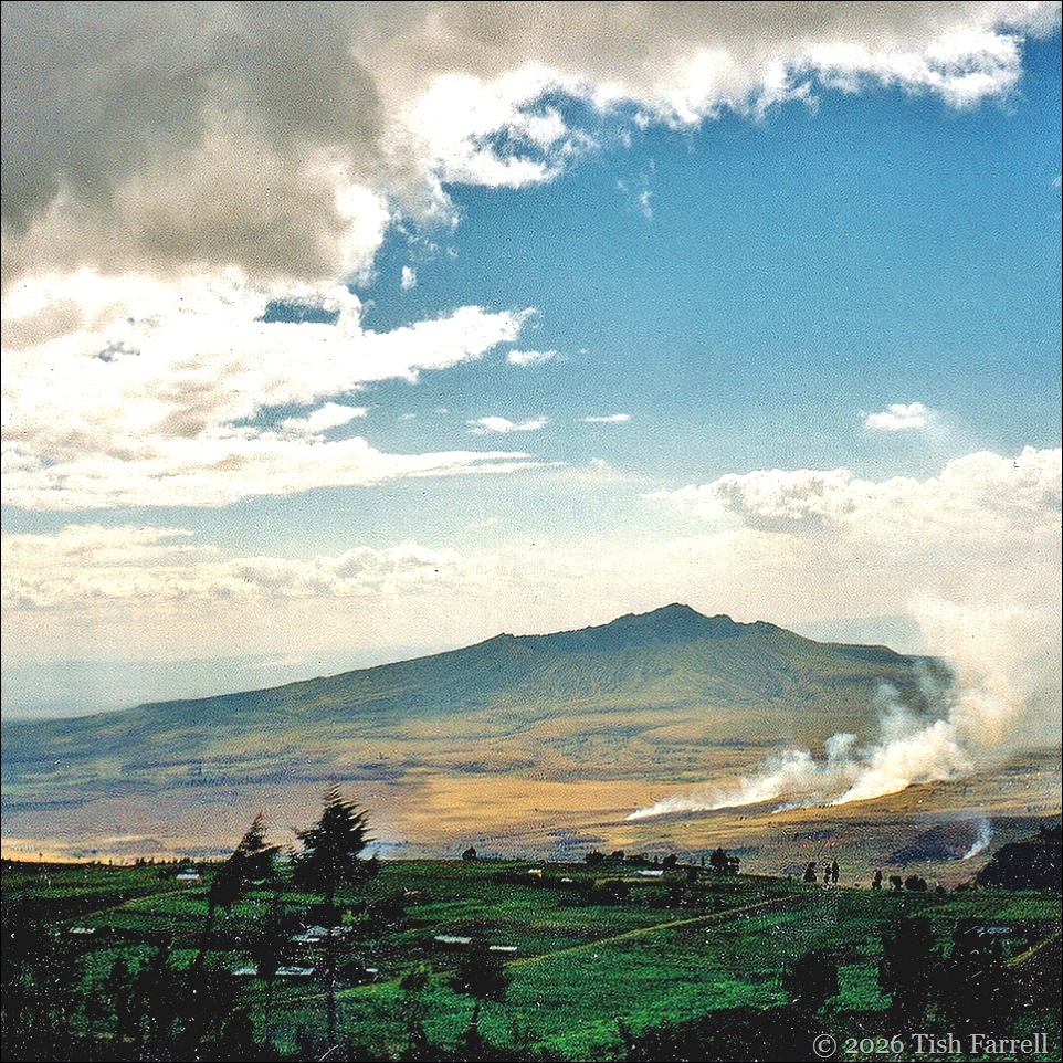 longonot