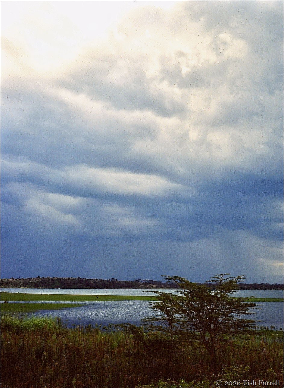 Naivasha