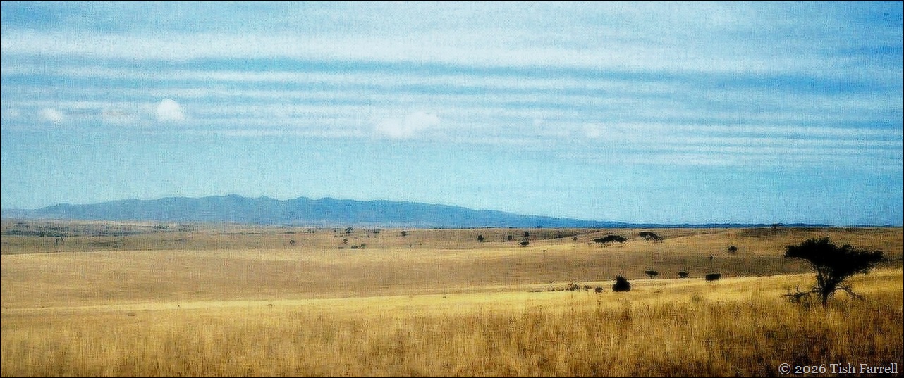 Ngongs and Athi plains resized header