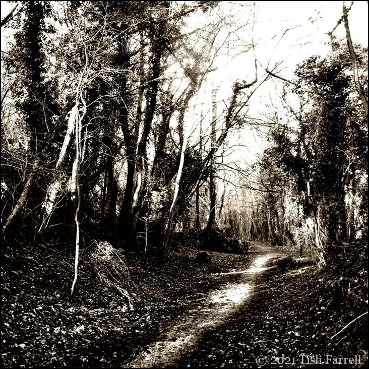 old railway line Wenlock