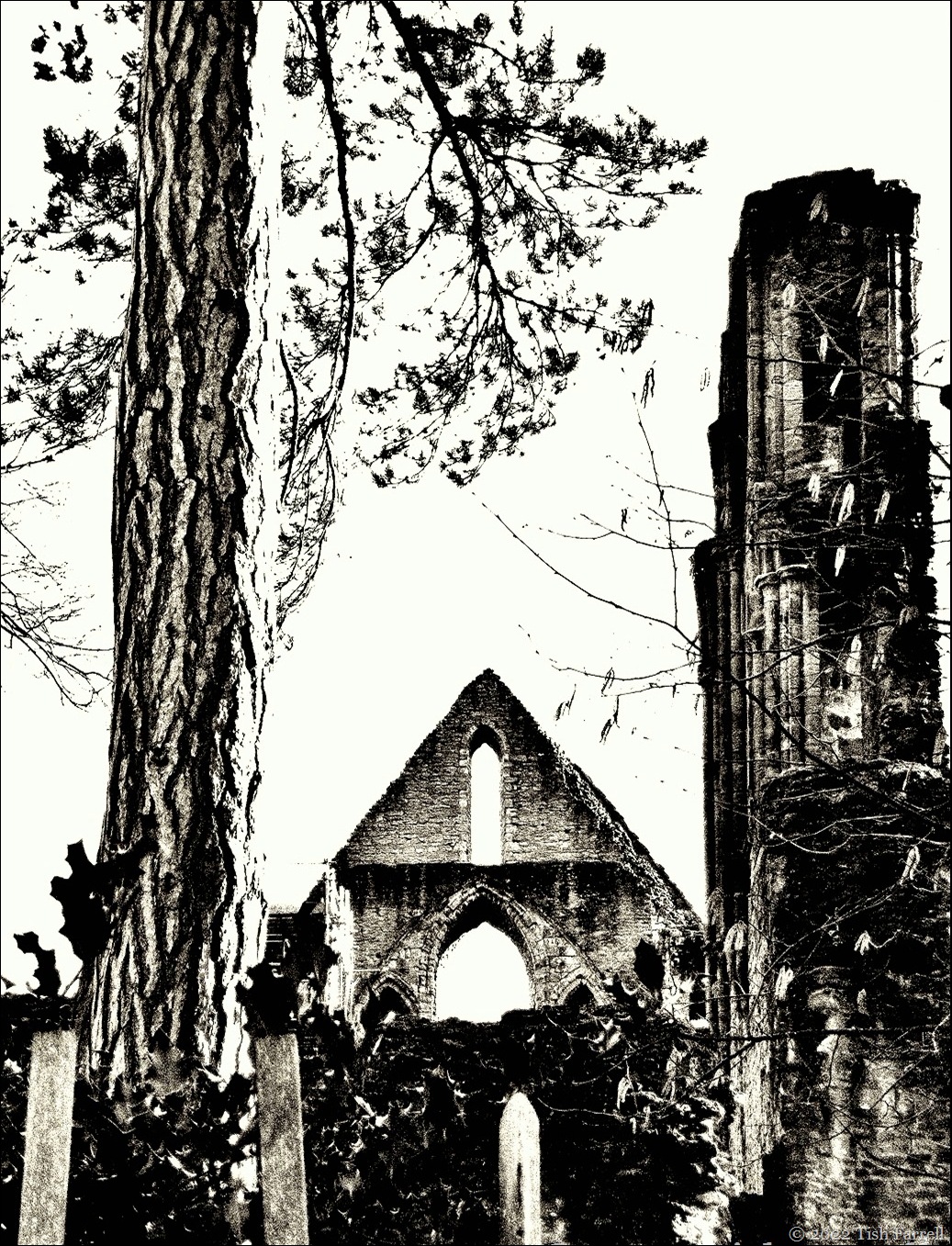 Winter view Wenlock Priory